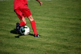 华体会-中超球队球员年龄结构，中超球队平均年龄