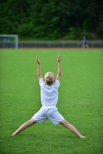 华体会网页登陆-高校运动训练计划动态调整机制研究，运动训练调控