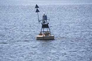 华体会官网客服-中方蝶泳入水角度更锐利？图解数据分析，中国蝶泳厉害吗
